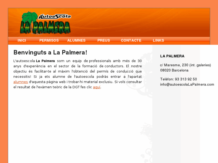 www.autoescolalapalmera.com