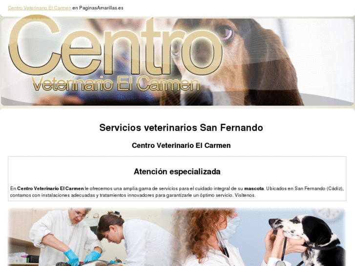 www.centroveterinarioelcarmen.com