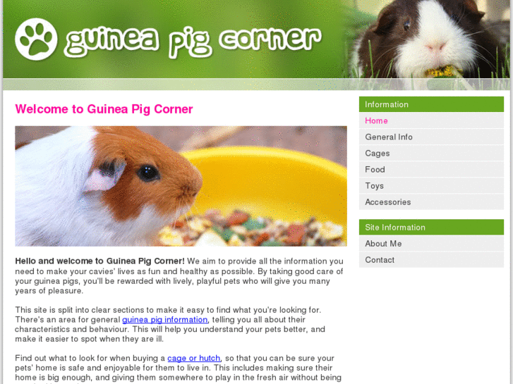 www.guineapigcorner.com