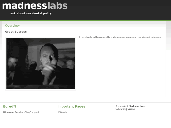 www.madnesslabs.com