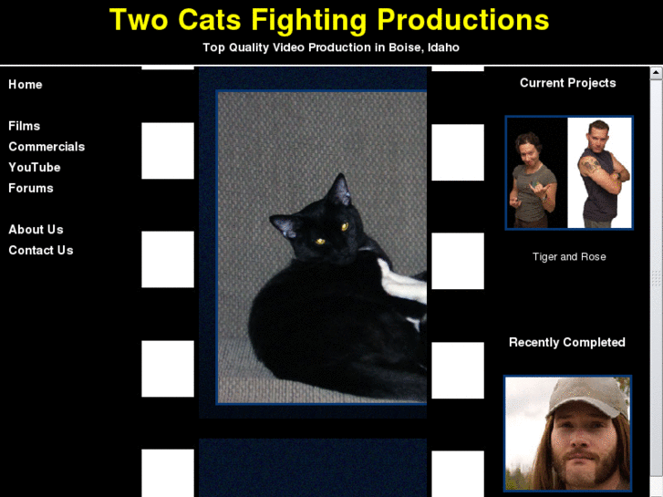 www.twocatsfighting.com