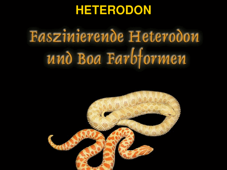 www.albino-hognose.com