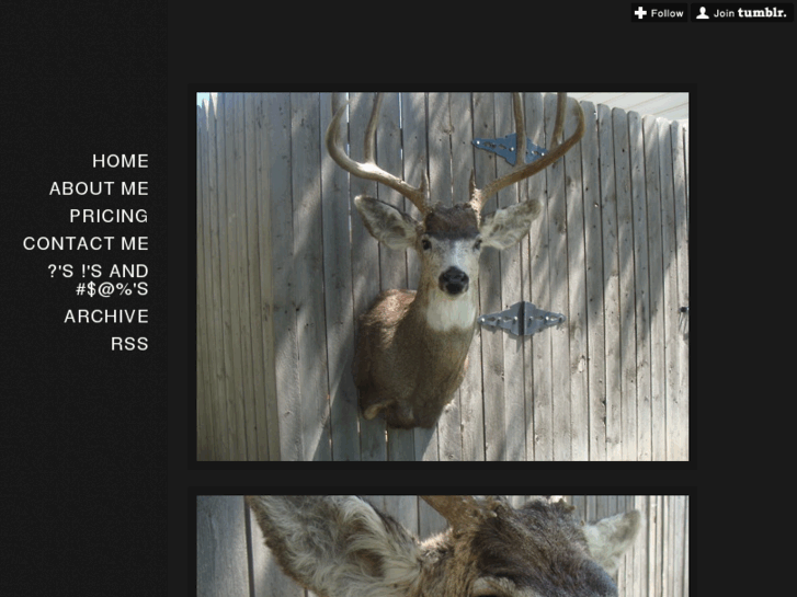 www.amarillotaxidermy.com