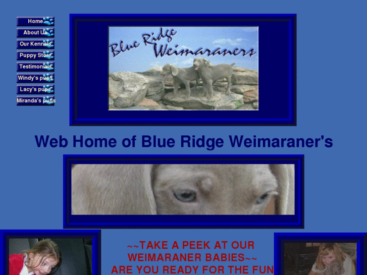 www.blueridgeweimaraners.com