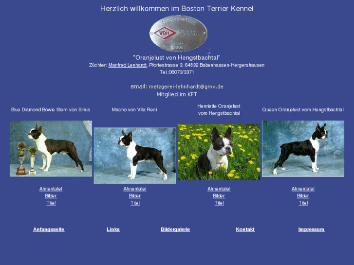 www.boston-terrier-hengstbachtal.de