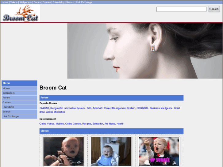 www.broomcat.com