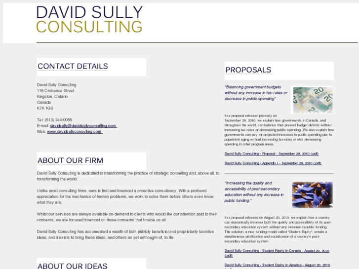 www.davidsullyconsulting.com