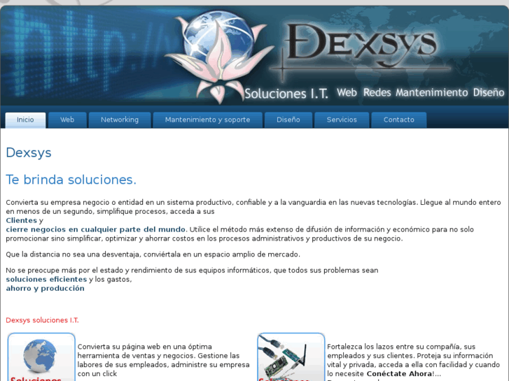 www.dexsys.net