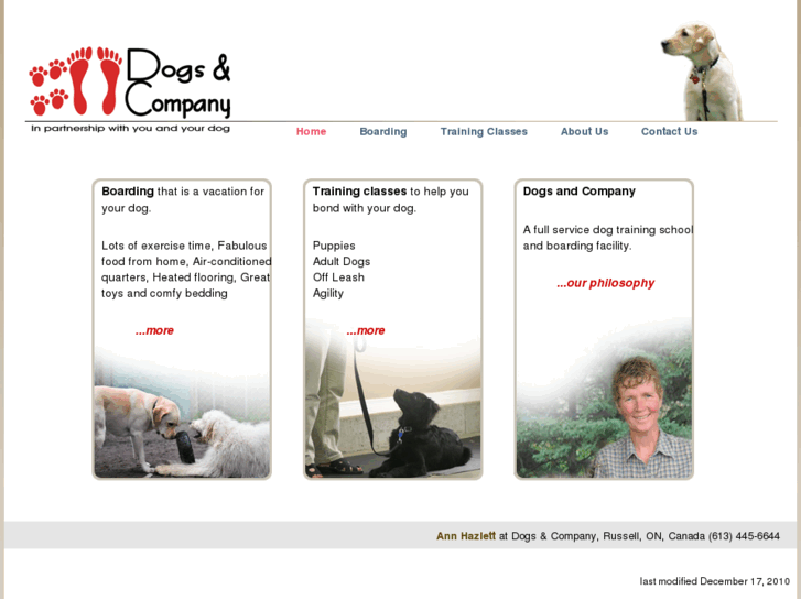 www.dogsncompany.com