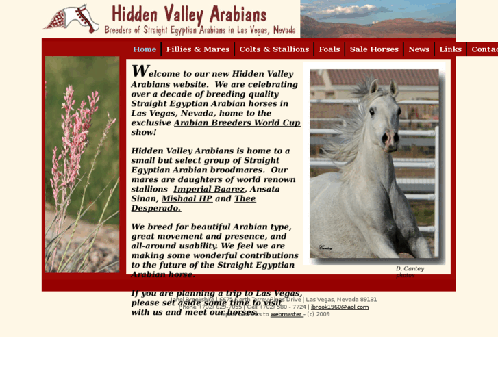 www.hiddenvalleyarabians.com