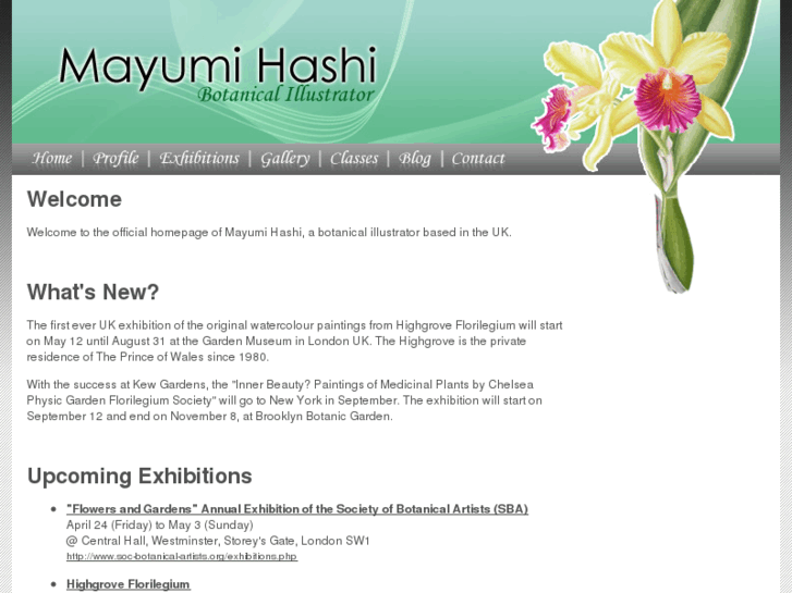 www.mayumihashi.com