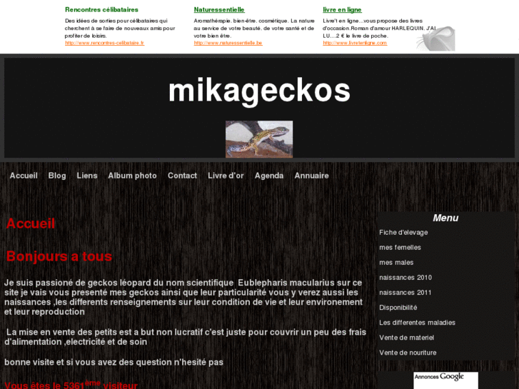 www.mikageckos.com