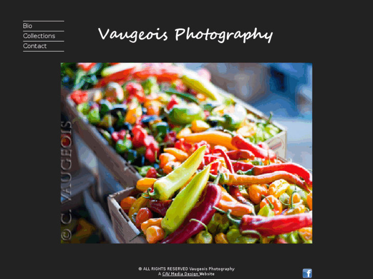 www.vaugeoisphotography.com