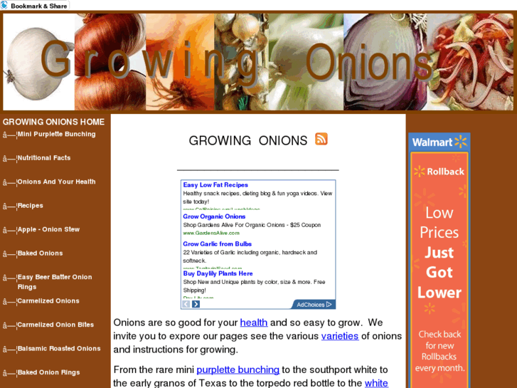 www.growing-onions.us