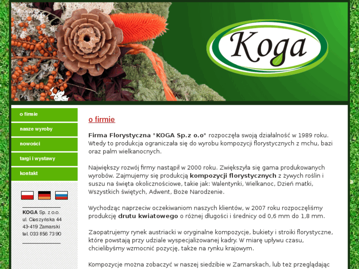 www.koga-polska.pl