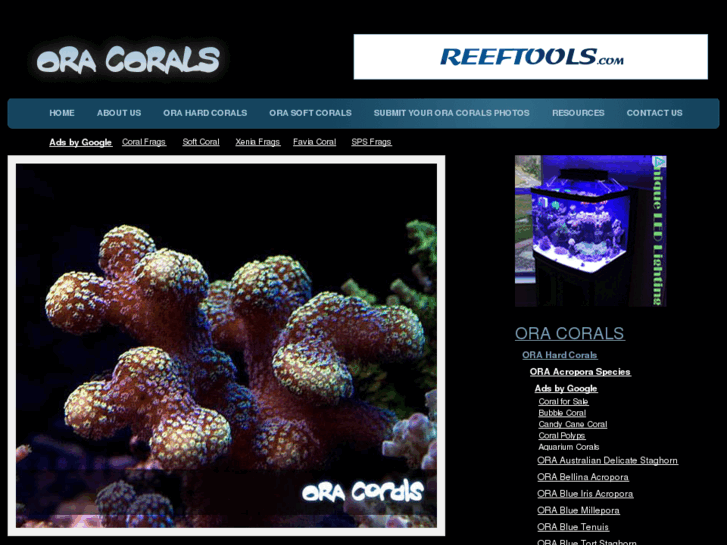 www.oracorals.com