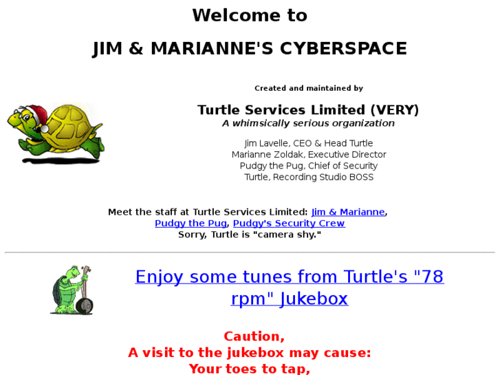 www.turtleservices.com