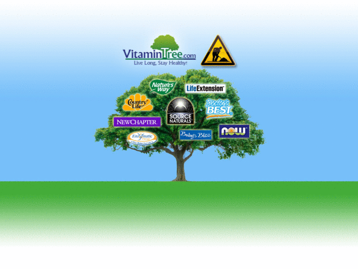 www.vitamintree.com