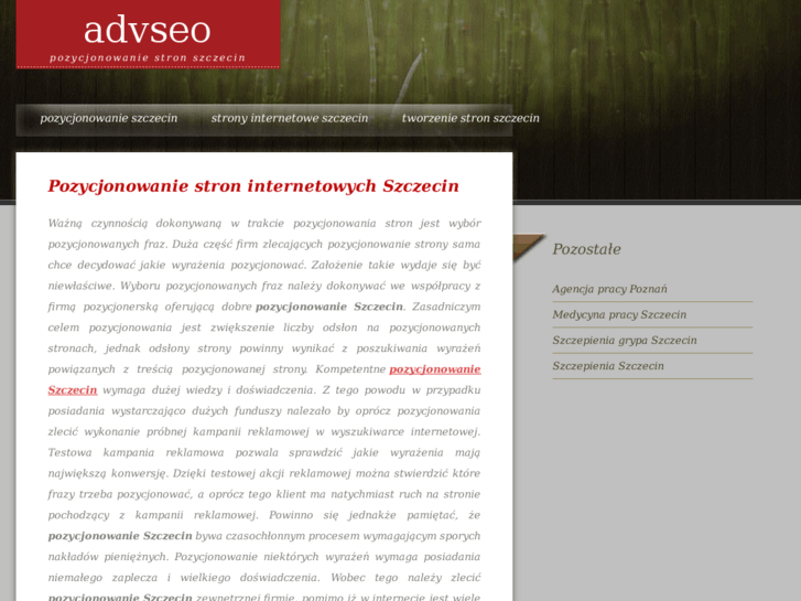 www.advseo.szczecin.pl