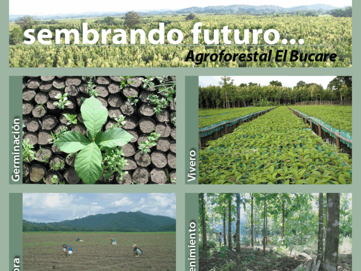 www.agroforestalelbucare.com