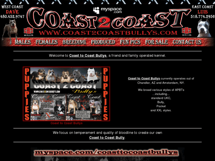 www.coast2coastbullys.com