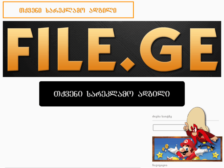 www.file.ge