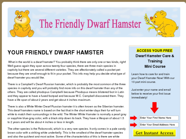 www.friendlydwarfhamster.com