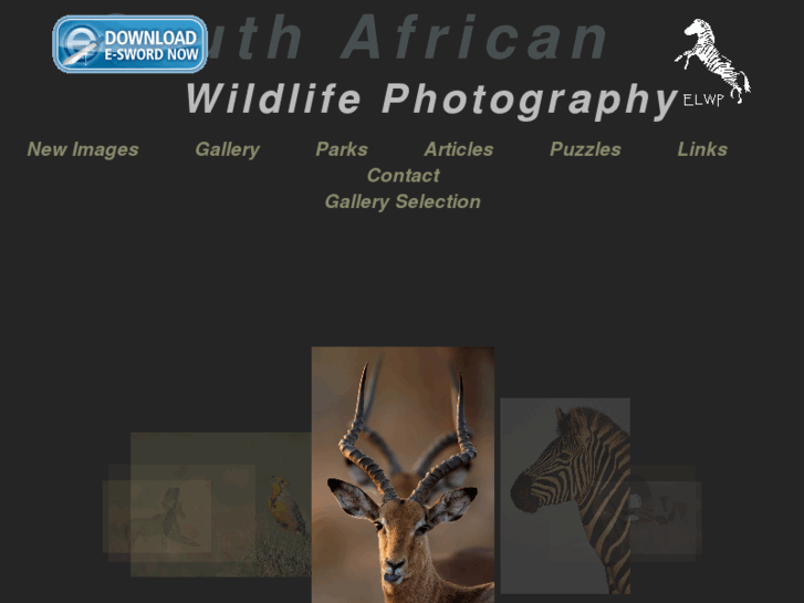 www.wildlife.co.za