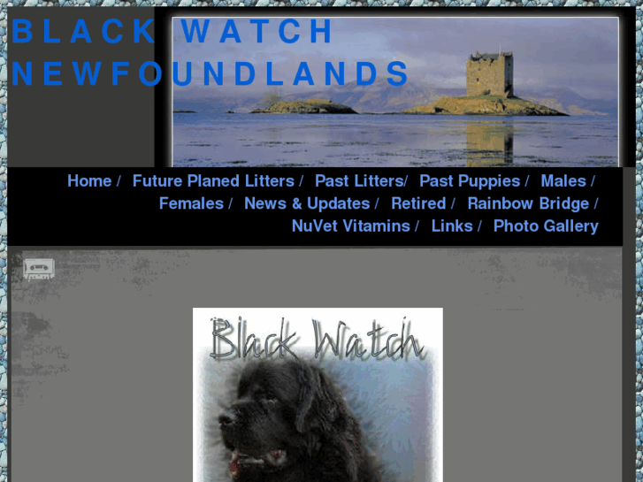 www.blackwatchnewfoundland.com