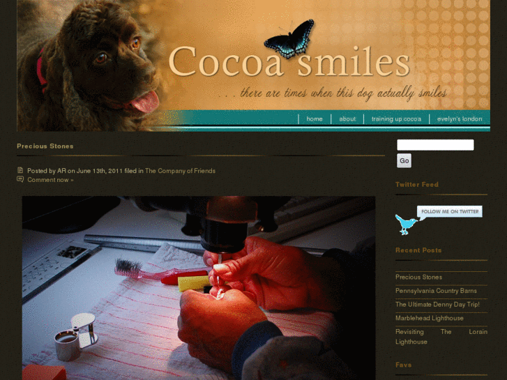 www.cocoasmiles.com