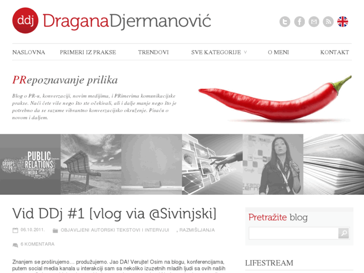 www.gagadjermanovic.com