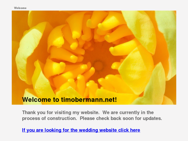 www.timobermann.net