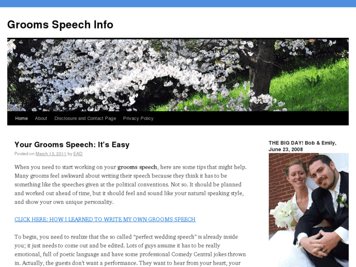 www.groomsspeechinfo.com