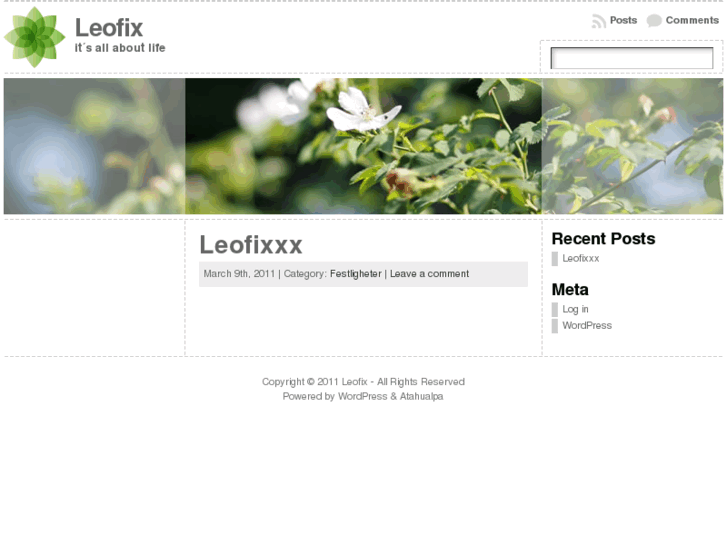 www.leofix.com