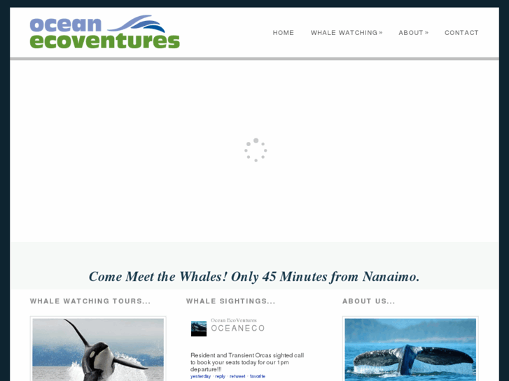 www.nanaimowhalewatching.com