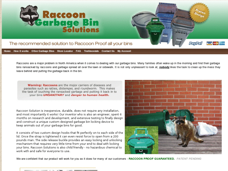 www.raccoonsolutions.com