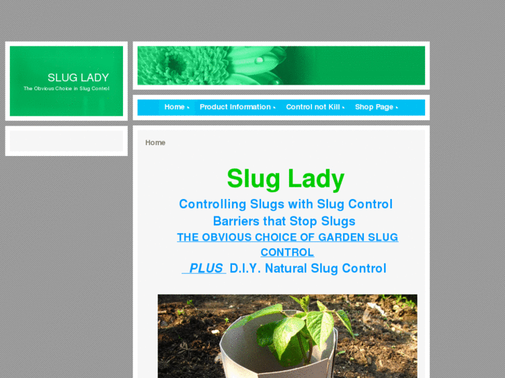 www.sluglady.com