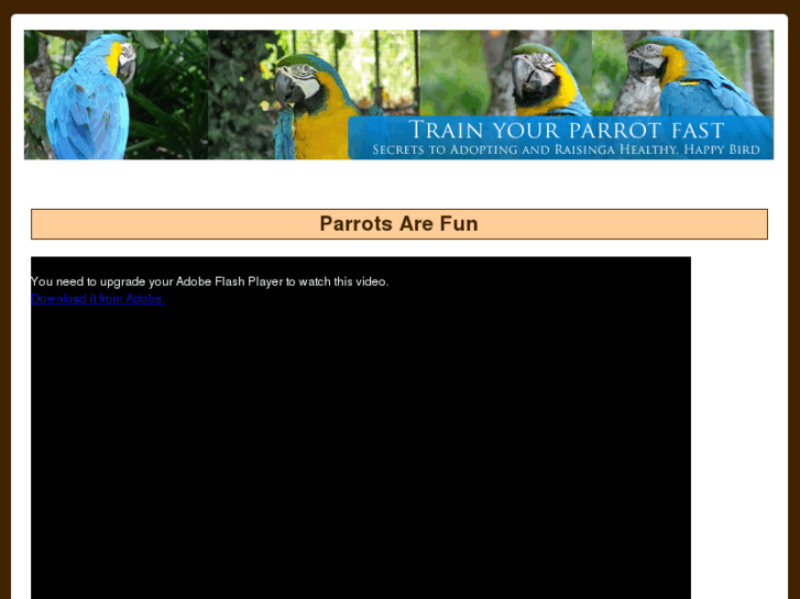 www.trainyourparrotfast.com