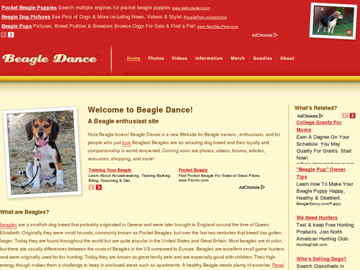 www.beagledance.com