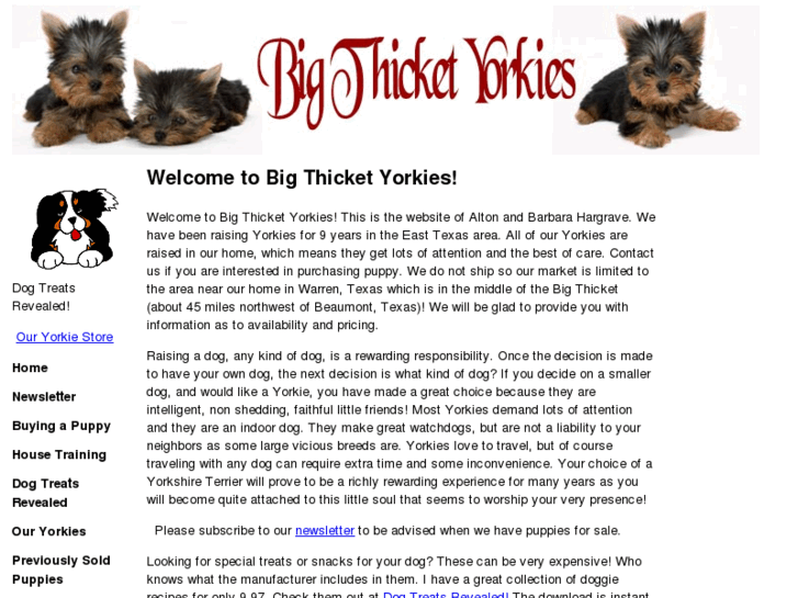 www.bigthicketyorkies.com