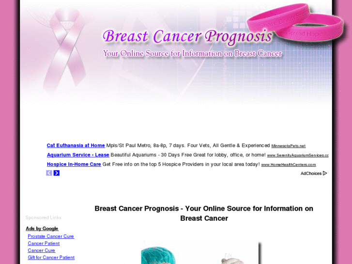 www.breastcancerprognosis.net