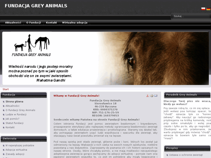 www.greyanimals.org