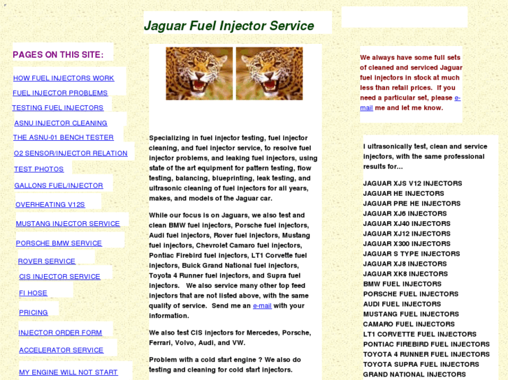 www.jaguarfuelinjectorservice.com