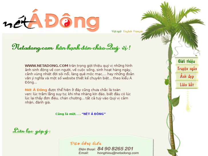 www.netadong.com