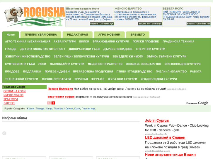 www.rogusha.com