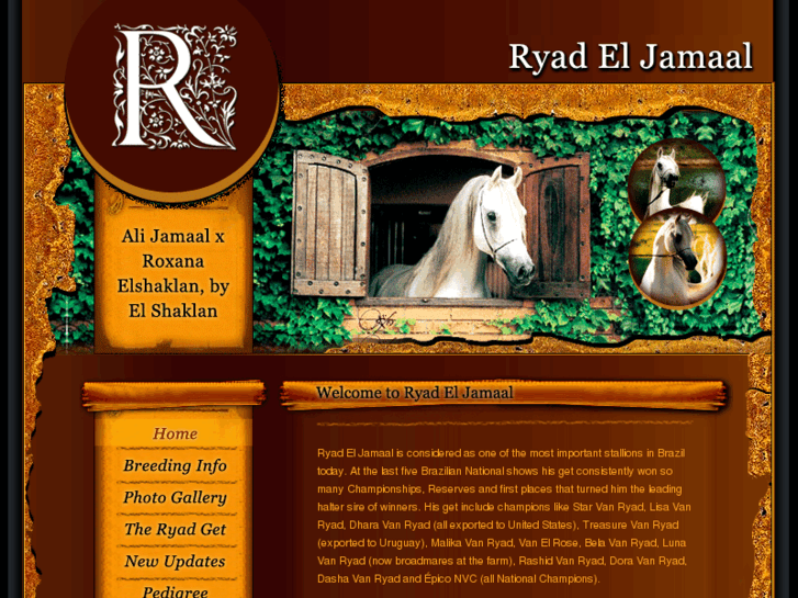 www.ryadeljamaal.com