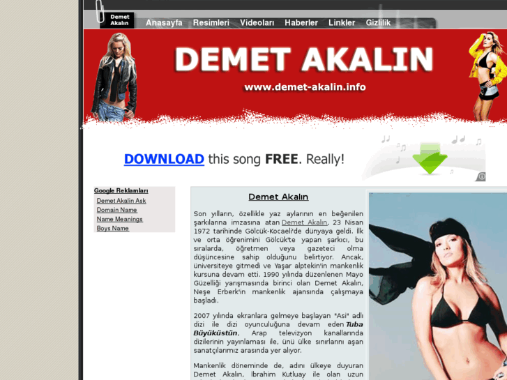 www.demet-akalin.info