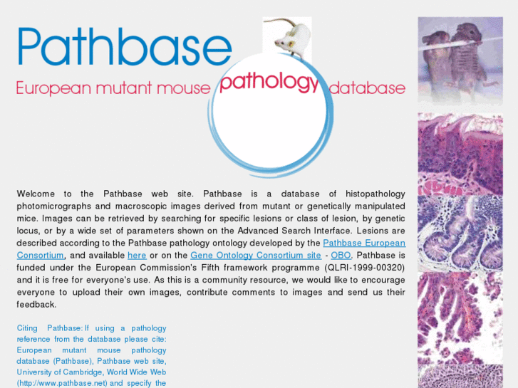 www.pathbase.net