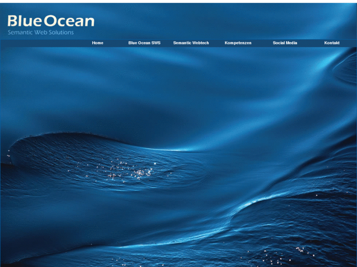 www.blueocean-sws.com