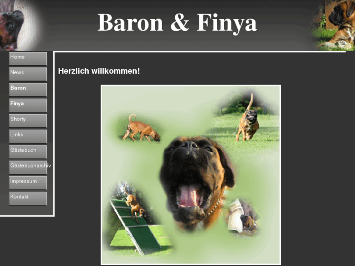 www.boxer-baron.de